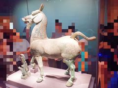 -广西壮族自治区博物馆