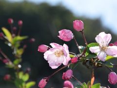 -苏州上方山国家森林公园