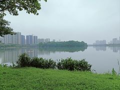 -飞来湖湿地公园