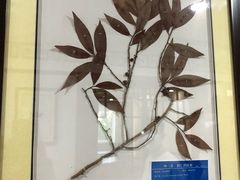 -杭州市萧山区中医院