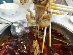 -麻辣巅峰美蛙鱼头火锅(犀浦店)