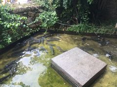 -大理老字号·舟渔的鱼野生菌海景餐厅(双廊店)
