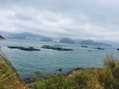 -南丫岛