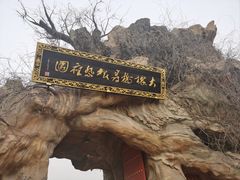 -大槐树寻根祭祖园