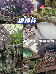 -欢乐舟·舟舟玩乐园