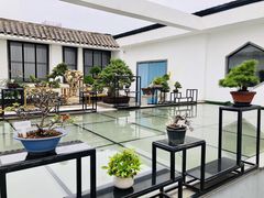 -稍可轩博物馆餐厅
