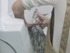 -爱洗澡的猫(天河路店)
