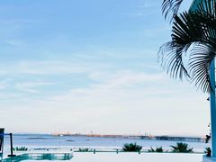 -巨鹏飞梦幻海岸