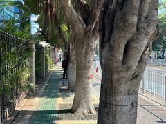 -深圳市中西医结合医院