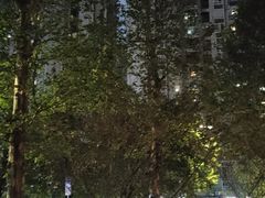 -龙头寺公园