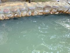 -江门古兜温泉小镇