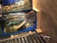 -马路边上·小海鲜烧烤(八一路店)