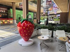 -树夏(鹭洲里店)