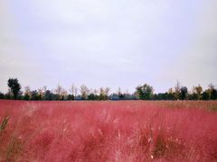 -汉长安城未央宫国家考古遗址公园