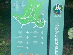 -上海佘山国家森林公园天马山园