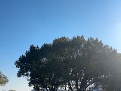 -上海交通大学(闵行校区)