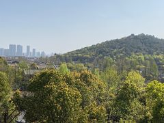 -西湖风景区-江洋畈生态公园
