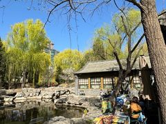 -三忘湖 SWANSEEN(柳荫公园店)