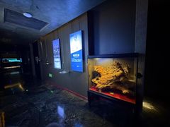 -索拉古贝(义乌北苑店)