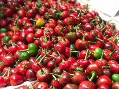 -红土地(地铁站)