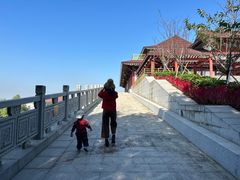 -大湾区中央湿地公园