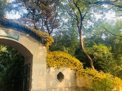 -国家植物园南园