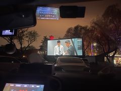 -枫花园汽车电影院(朝阳公园店)