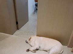 -PAUSE CAFE(南秀村店)