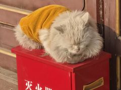 -大悲禅寺