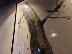 -上足·影院足道·SPA(红岭店)