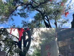 -缙云山景区