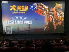 -卢米埃影城(长楹天街IMAX激光店)
