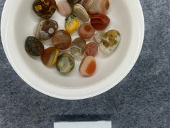 -金陵中学(河西分校)