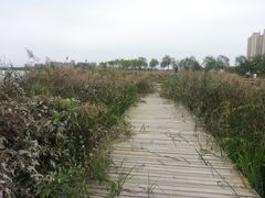 -鉴湖国家城市湿地公园