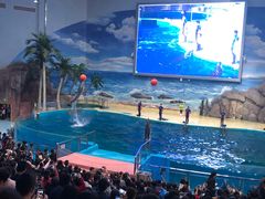 -福州罗源湾海洋世界旅游区