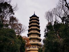 -灵谷景区