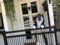 -TrueLove @ Neverland (Husky Cafe)