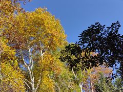 -西安市纺织公园