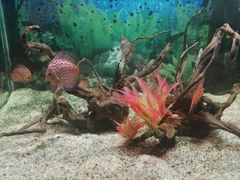 -绍兴梦享海洋公园