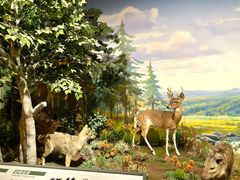 -陕西自然博物馆