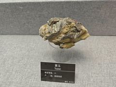 -甘肃地质博物馆