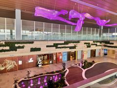 -贵阳龙洞堡国际机场-T2航站楼