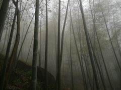 -藏龙百瀑风景区