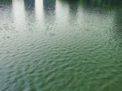 -杭州城北体育公园