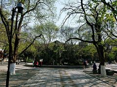 -山东大学(趵突泉校区)