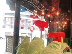 -印象江南(东栅店)
