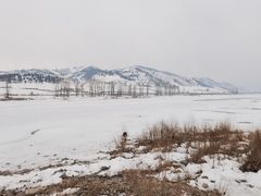 -江心岛