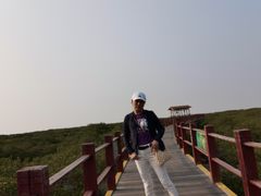 -北海金海湾红树林生态旅游区