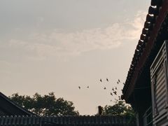 -前门兵部洼胡同停车场