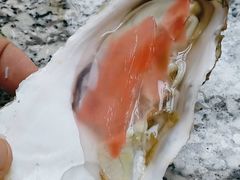 生蚝-震海贝烤贝海鲜(长春店)